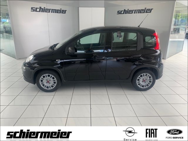 Fiat Panda 9.620 km 11.350 &euro; Rheine 48432