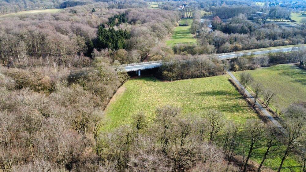 Mehrfamilienhaus, Wohnhaus Rheine Bentlage - 7 Zimmer, 205 m&sup2;, 2.262.000&euro; | Angebot:26015987