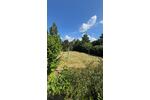 Doppelhaushälfte Lingen (Ems) - 4 Zimmer, 90 m&sup2;, 344.000&euro; | Angebot:27023981
