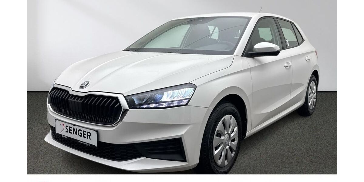 Skoda Fabia 23.364 km 14.880 &euro; Emsdetten 48282