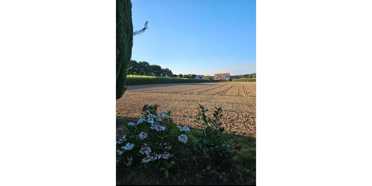 Einfamilienhaus Mettingen - 8 Zimmer, 150 m&sup2;, 449.000&euro; | Angebot:27618029