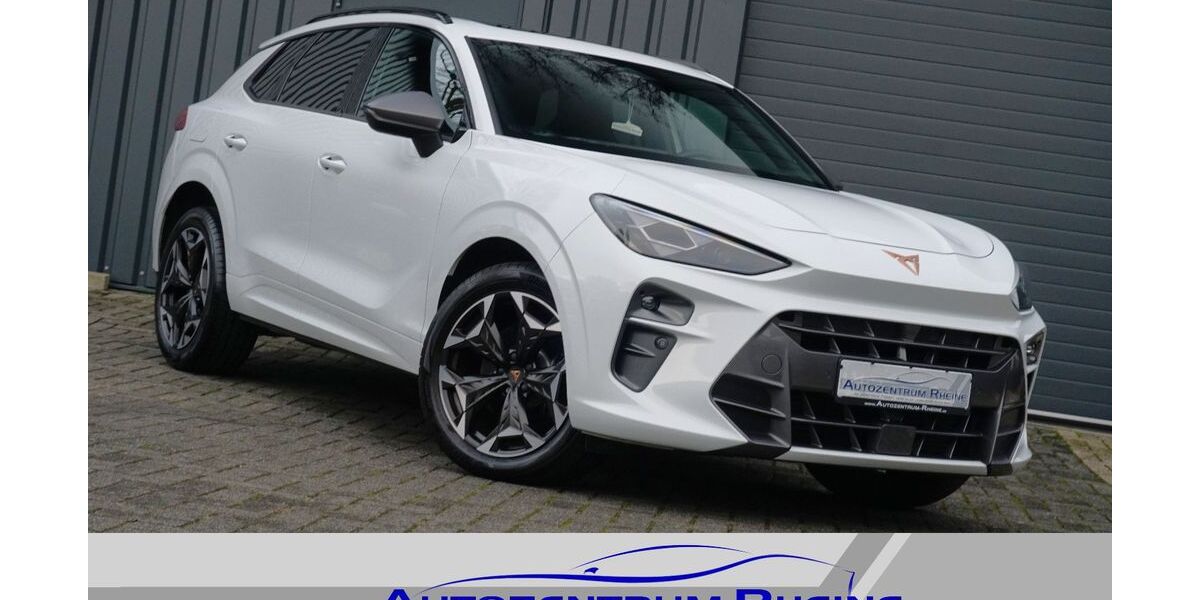 Cupra Terramar 11.172 km 39.444 &euro; Rheine 48432