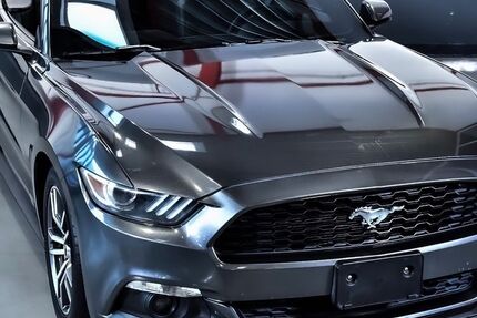 Ford Mustang 164.000 km 21.500 &euro; Hörstel 48477