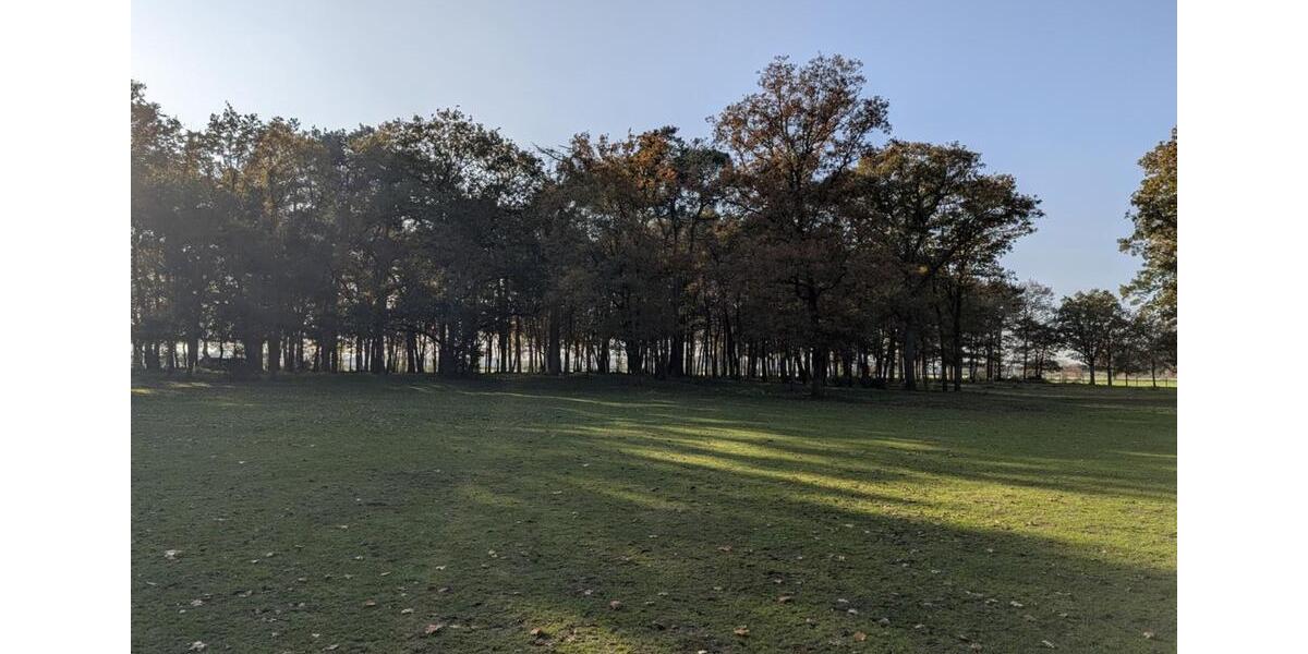 Bauernhaus, Landhaus Gronau (Westfahlen) - 5 Zimmer, 161 m&sup2;, 1.495.000&euro; | Angebot:25353059