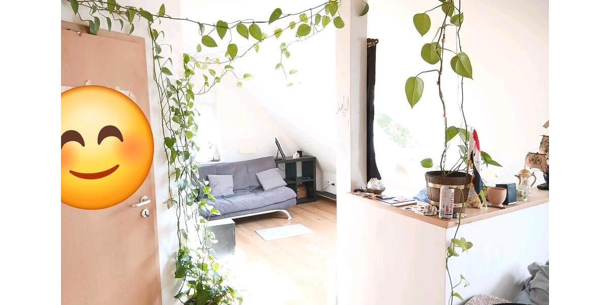 Dachgeschoßwohnung Rheine - 2 Zimmer, 39 m&sup2;, 3.000&euro; | Angebot:26518399