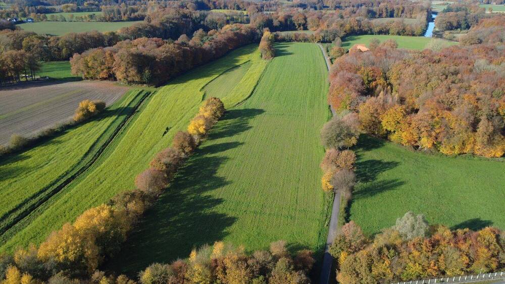 Mehrfamilienhaus, Wohnhaus Rheine Bentlage - 7 Zimmer, 205 m&sup2;, 2.262.000&euro; | Angebot:26015987