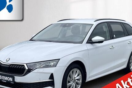 Skoda Octavia 16.667 km 29.440 &euro; Lengerich 49525