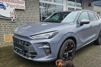 Cupra Terramar 11.000 km 39.990 &euro; Recke 49509