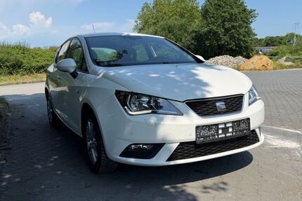 Seat Ibiza 179.523 km 4.600 &euro; Spelle 48480