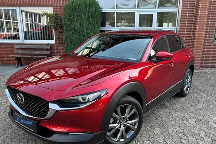 Mazda CX-30 1.641 km 30.880 &euro; Ibbenbüren 49479