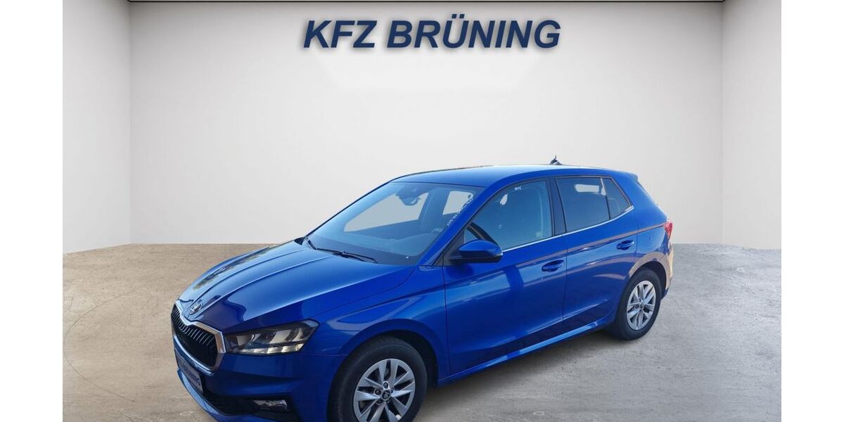 Skoda Fabia 25.221 km 18.980 &euro; Lingen (Ems) 49811