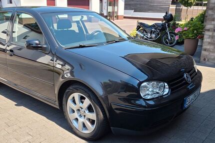 VW Golf 234.200 km 2.650 &euro; Spelle 48480