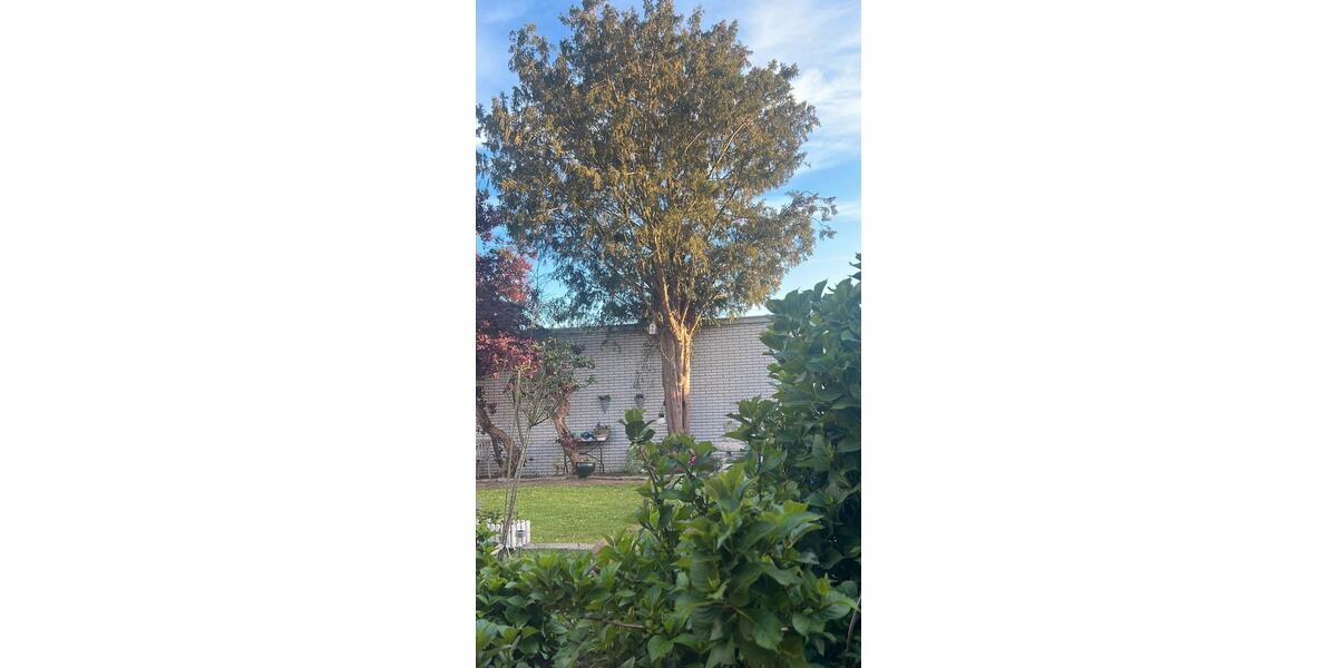 Bungalow Salzbergen - 5 Zimmer, 124 m&sup2;, 305.500&euro; | Angebot:25853622