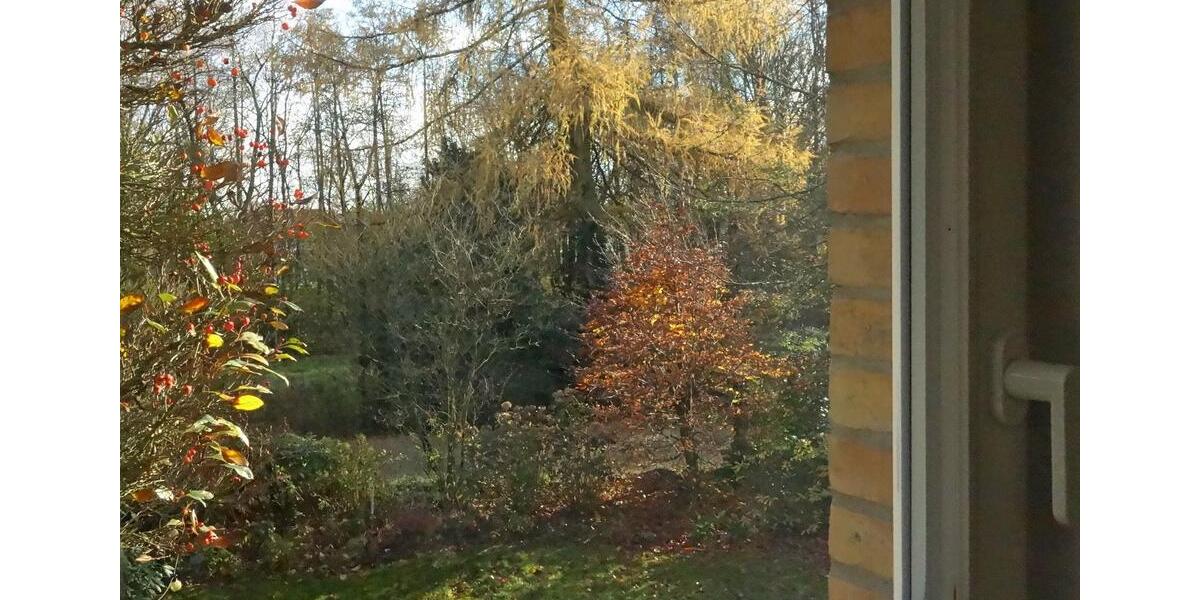 Einfamilienhaus Metelen - 10 Zimmer, 250 m&sup2;, 625.000&euro; | Angebot:25959789