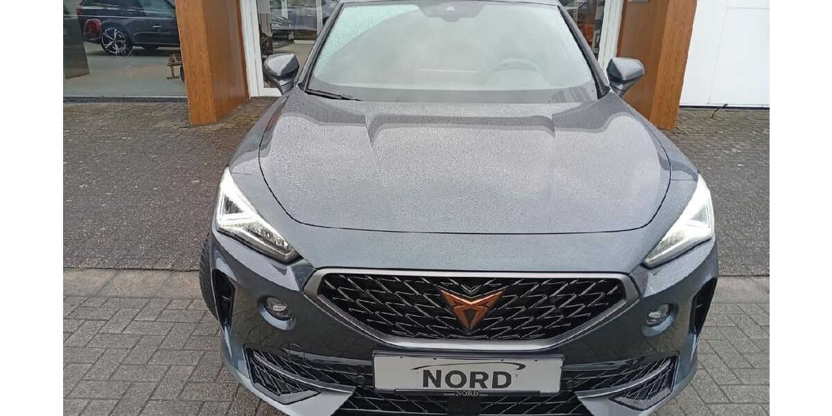 Cupra Formentor 29.084 km 25.450 &euro; Rheine 48432
