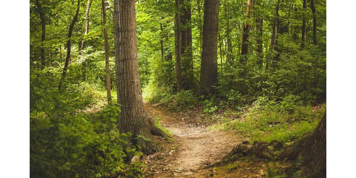 Grundstück Ibbenbüren Stadt - 38.900&euro; | Angebot:25691259