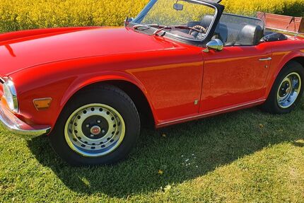 Triumph TR6 8.000 km 21.499 &euro; Tecklenburg 49545
