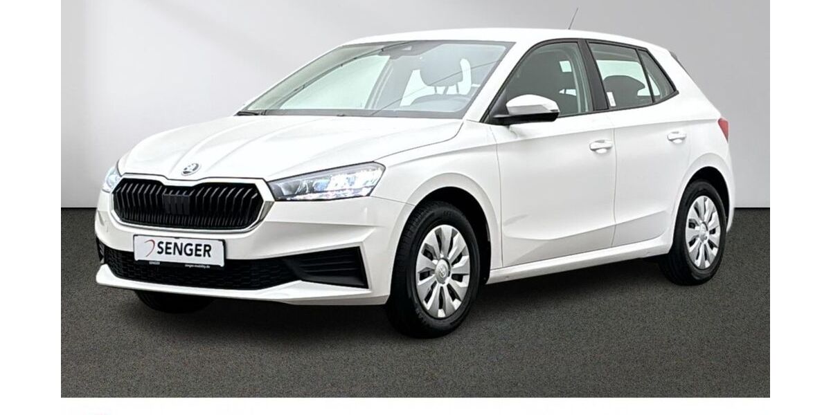 Skoda Fabia 31.036 km 17.280 &euro; Emsdetten 48282