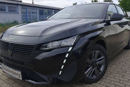 Peugeot 308 98.800 km 14.900 &euro; Emsdetten 48282