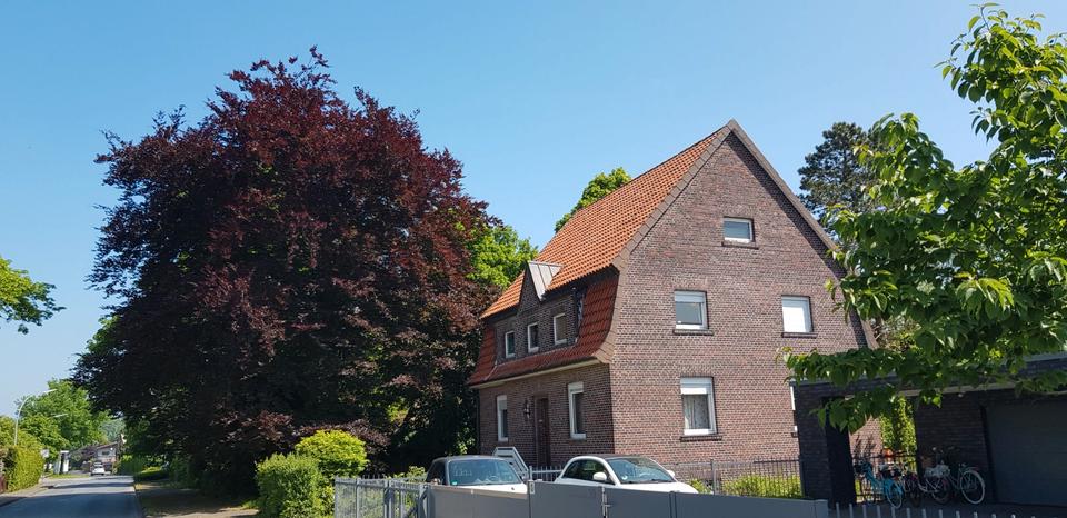 Einfamilienhaus Laer - 8 Zimmer, 160 m&sup2;, 475.000&euro; | Angebot:26086583