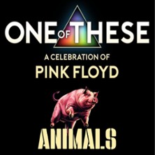 One Of These – A celebration of Pink Floyd / Animals Tour 19.09.2026 Komplex
