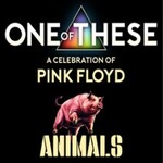 One Of These A celebration of Pink Floyd - Animals Tour