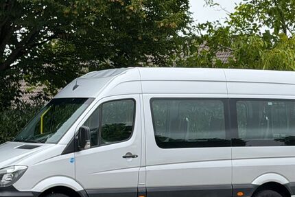 Mercedes-Benz Sprinter 547.043 km 8.806 &euro; Bad Bentheim 48455