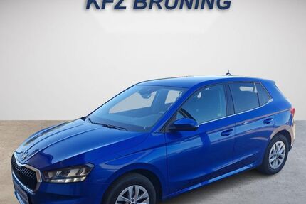 Skoda Fabia 21.893 km 19.180 &euro; Lingen (Ems) 49811