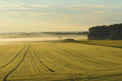 Grundstück Engden - 499.000&euro; | Angebot:26014872