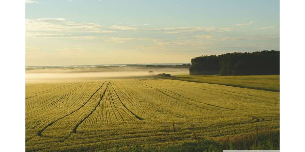 Grundstück Engden - 499.000&euro; | Angebot:26014872