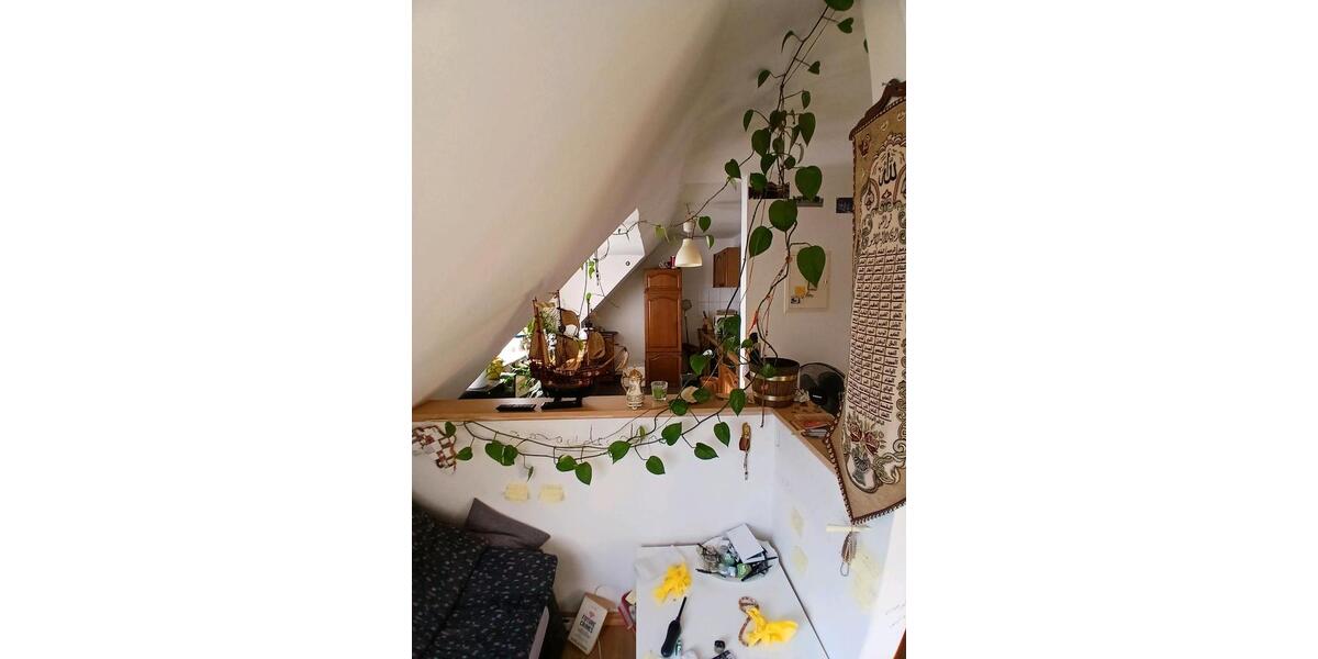 Dachgeschoßwohnung Rheine - 2 Zimmer, 39 m&sup2;, 3.000&euro; | Angebot:26518399