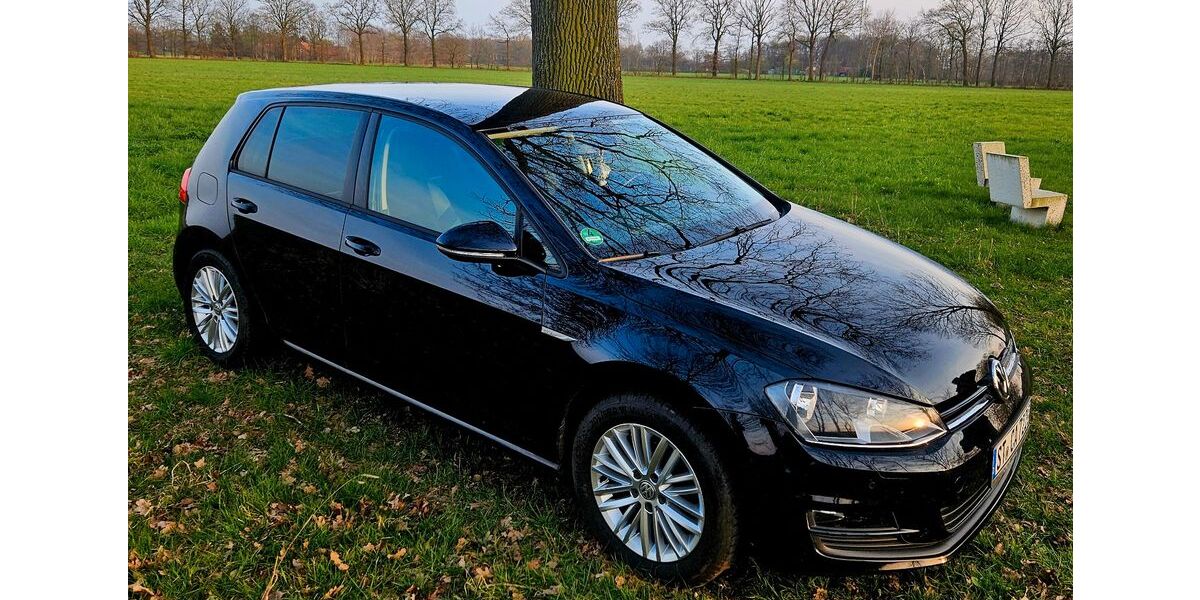 VW Golf 156.000 km 7.700 &euro; Wettringen 48493