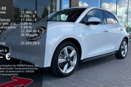 GWM Ora 03 18.135 km 21.980 &euro; Ibbenbüren 49479