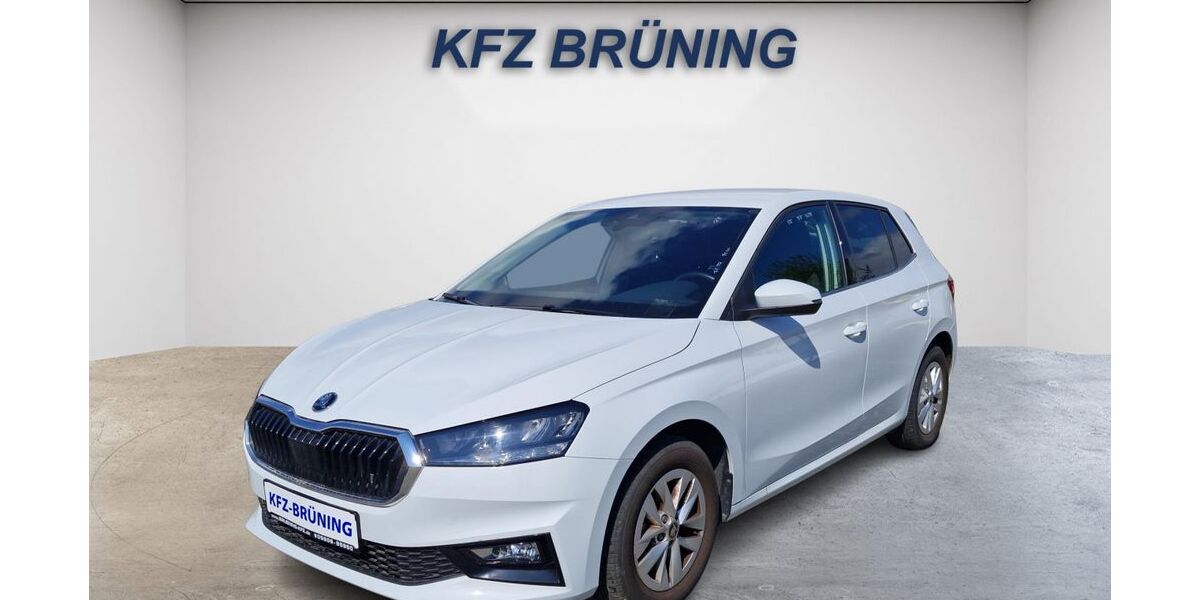 Skoda Fabia 12.860 km 15.980 &euro; Lingen (Ems) 49811