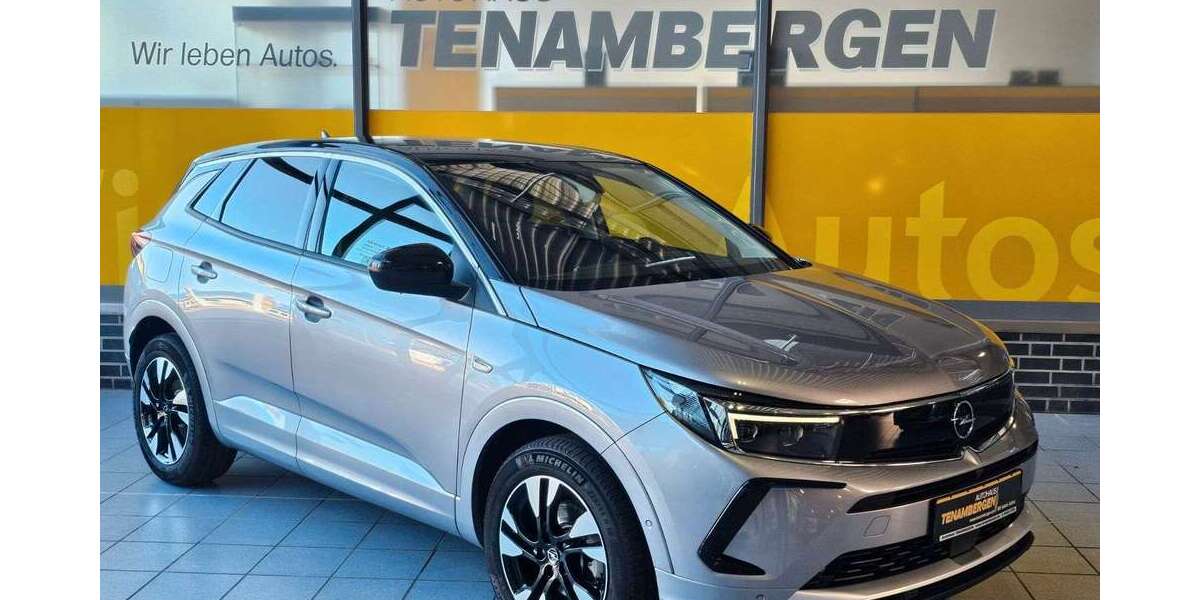 Opel Grandland X 16.500 km 26.900 &euro; Mettingen 49497