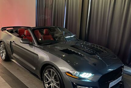 Ford Mustang 9.990 km 49.980 &euro; Schapen 48480