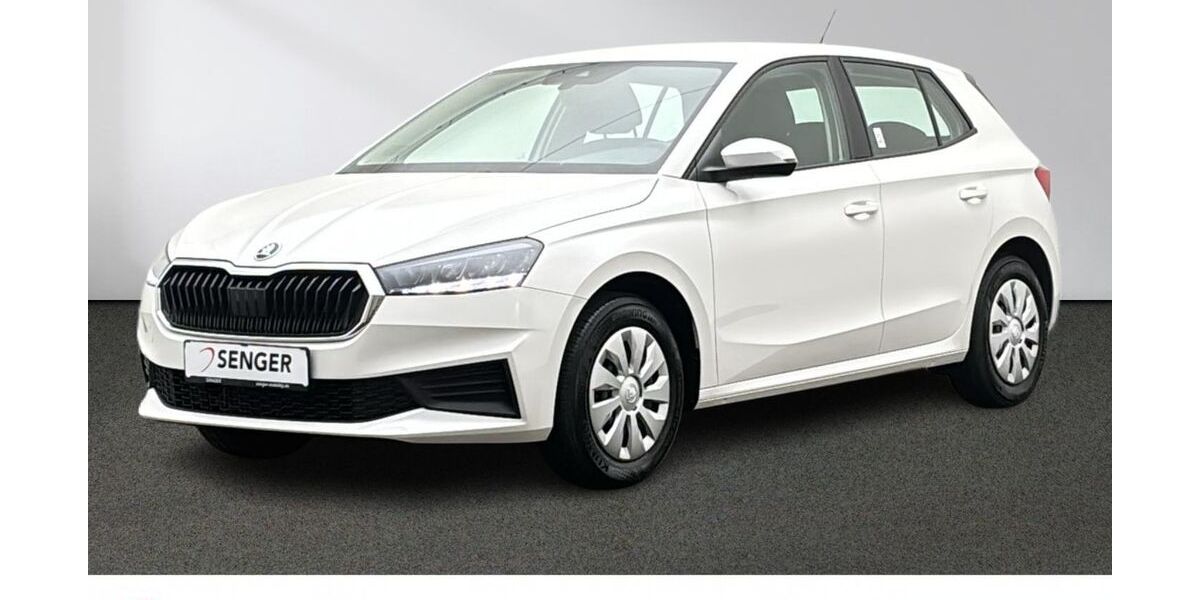 Skoda Fabia 26.745 km 18.280 &euro; Emsdetten 48282