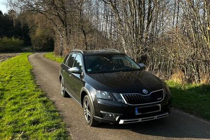 Skoda Octavia 124.000 km 17.750 &euro; Hörstel 48477
