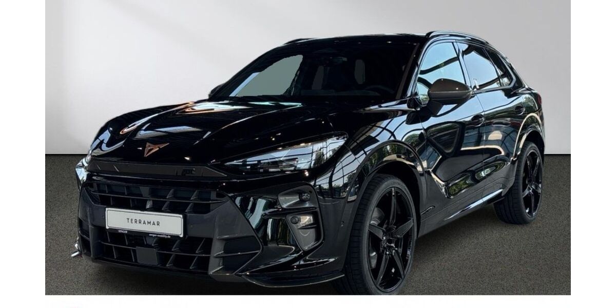 Cupra Terramar 1.500 km 46.990 &euro; Rheine 48429