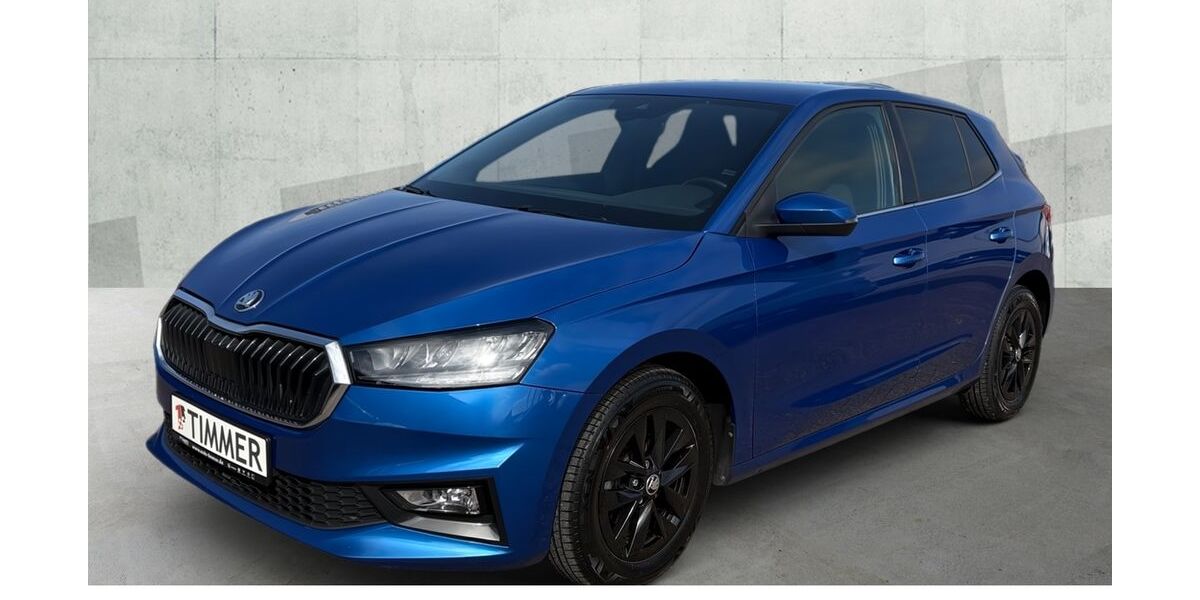 Skoda Fabia 86.144 km 12.870 &euro; Gronau 48599