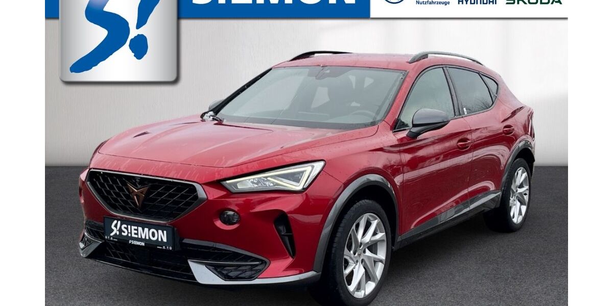 Cupra Formentor 79.523 km 19.430 &euro; Lengerich 49525