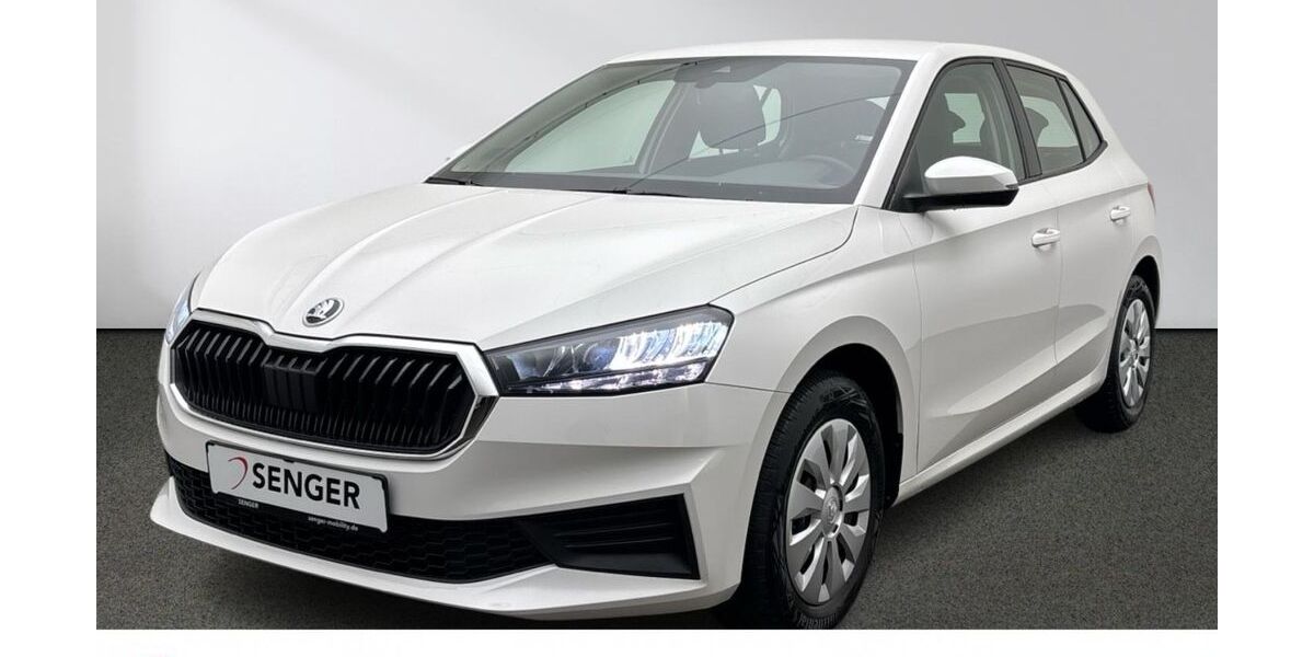 Skoda Fabia 22.174 km 18.880 &euro; Emsdetten 48282