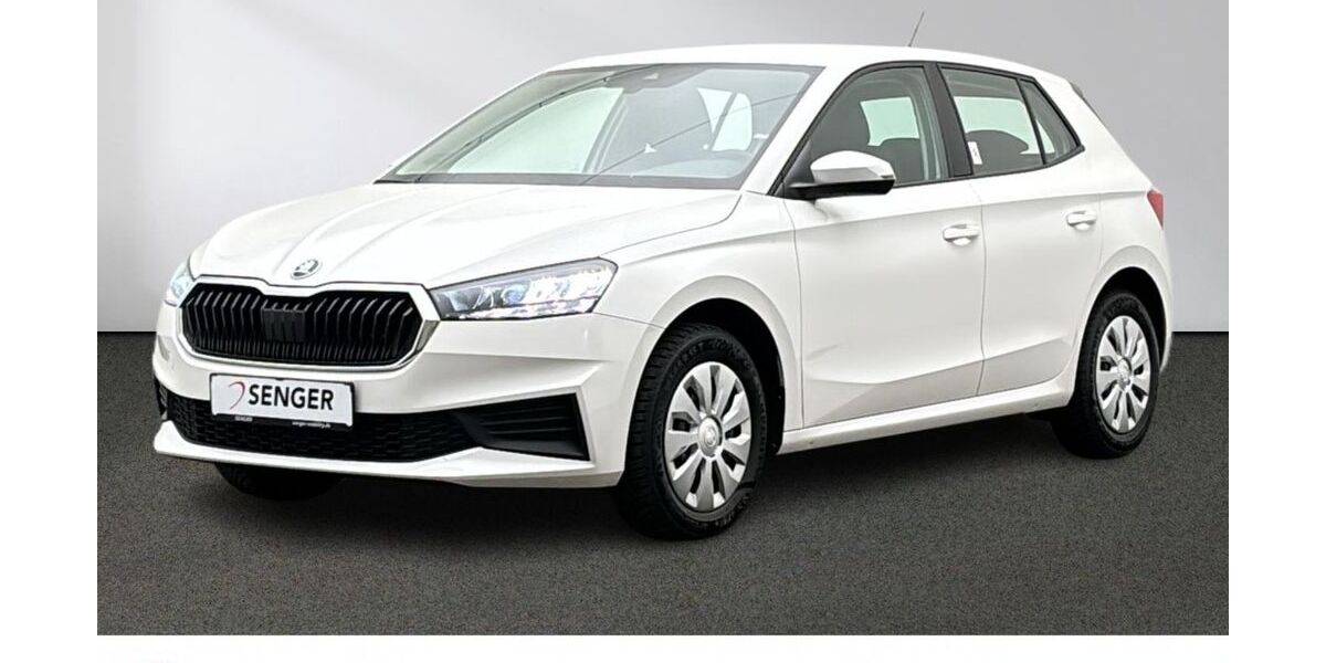 Skoda Fabia 28.300 km 17.480 &euro; Emsdetten 48282