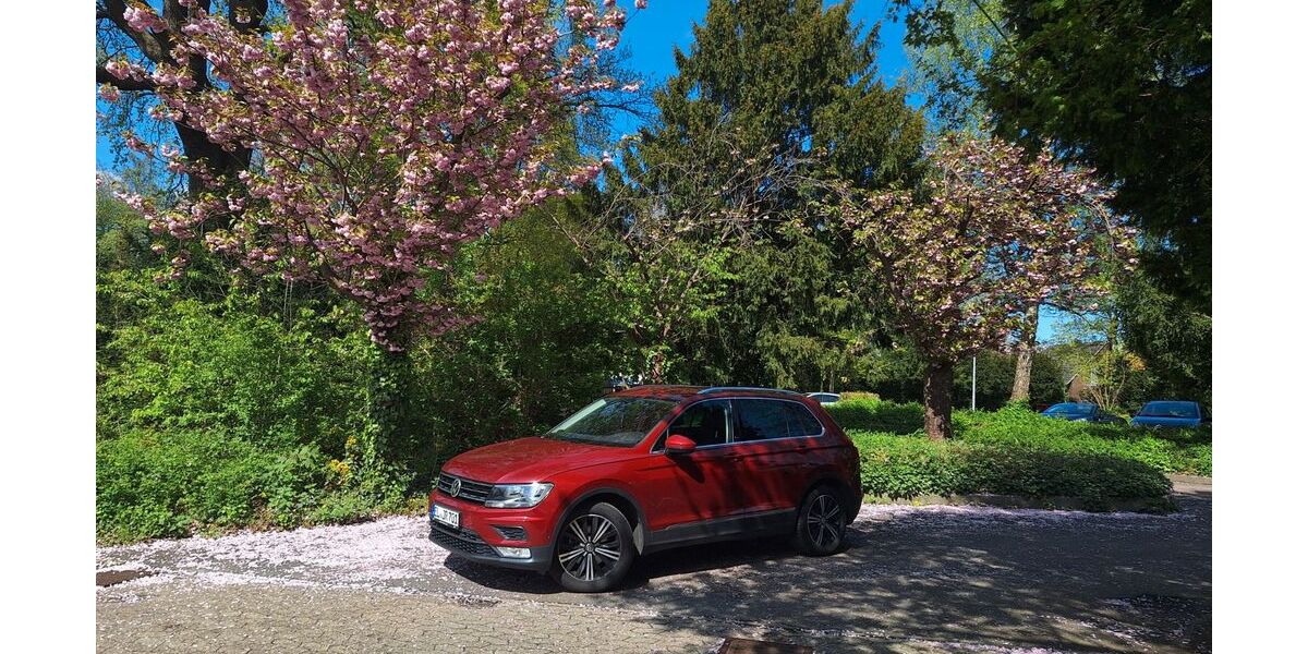 VW Tiguan 76.000 km 20.400 &euro; Spelle 48480