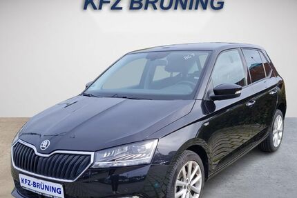 Skoda Fabia 76.350 km 9.680 &euro; Lingen (Ems) 49811