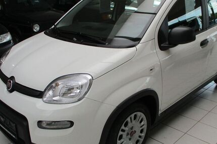 Fiat Panda 5.000 km 13.950 &euro; Lingen - Baccum 49811