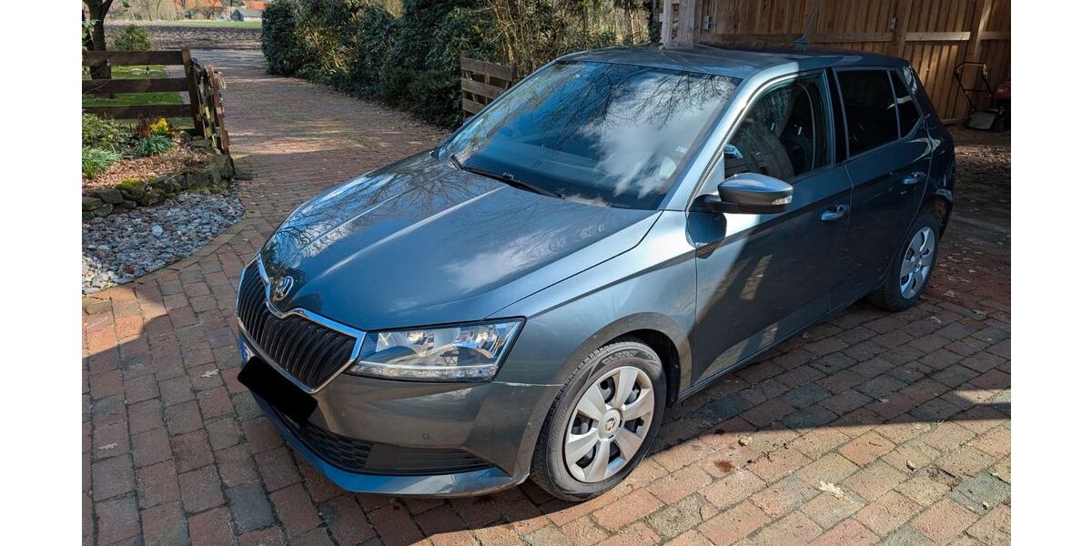 Skoda Fabia 70.334 km 14.000 &euro; Lingen (Ems) 49808